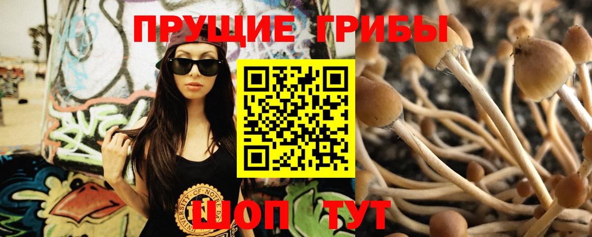 Псилоцибиновые грибы мицелий  закладка  Арсеньев  Галлюциногенные грибы Cubensis  Вход с VPN 